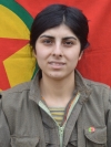 Seher İntikam – Bîşeng Kabak