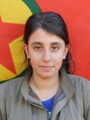 Berfin Çiyajin - Bahar Basan