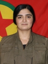 Melsa - Medya Alî