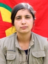 Destina Amara - Cane Süleyman