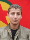 Argeş Cûdî – Fırat Bayrak