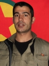 Roşer Tolhildan – Ali Kemal Arslan