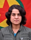 Tekoşin Şoreş - Nesrin Xediri