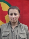 Evrim Ronahi Başkale - Aysel Toğan