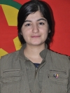 Dünya Destan - Sinem Yusuf