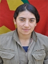 Zozan Herekol - Evin Çetinkaya