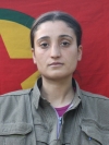 Savûşka Devrim - Yasemin Yanar