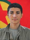 Renas Tolhıldan - Baver Kavak
