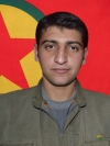 Hewram Şaho – Madih Gülistani