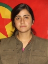 Dünya Dîcle – Sozdar Dîlî Hesen