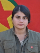 Bişeng Fîraz Zagros - Şehrîban Angi