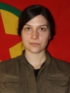 Tîjda Zagros – Kelly Freygang