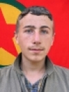 Şahan Kobanê - Harun Perçin