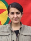 Besê Devran Çiya – Menşüre Akpolat