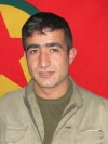 Şoreş Xinis - Orhan Kanar