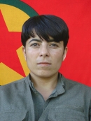 Tekoşin Amanos - Ceylan Yaşar
