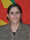 Hîvda Pîrosî – Rojbin Akdoğan