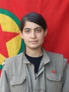 Sara Tolhildan - Sakine Taş