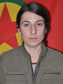 Avesta Sîpan - Derya Altındaş