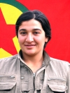 Çiçek Tekoşin - Ayhan Tan