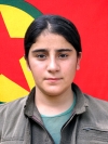 Delila Gulê - Kibar Ersan