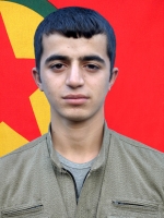 Brusk Gever - Sipan Güneş