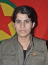 Destîna Fîraz Kobanê - Nazê Şêx Ebdê