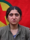 Faraşin Sipan - Bahar İnan