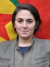 Sorxwin Amed - Culyana Xelo