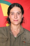 Dicle Hevidar - Rojbin Akyol