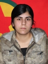 Serhildan Mahsum – Mîdya Tahabaş