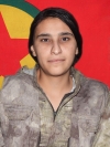 Avaşîn Zagros - Medrîka Besravî