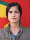 Zekiye Alkan – Türkan Yönten
