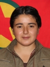 Özgür Erdal – Hamide Hemo
