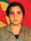 Zevin Botan - Ruksen Ali