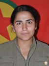 Bêrîvan Hesekê – Jiyan Halil Meyiş
