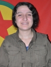 Sarya - Sarya Mahmut