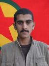 Welat Şemzinan - Fikret Cağlıl