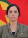Gülçin Didar - Münire Mina