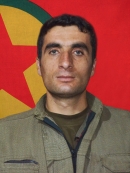 Delîl Zagros - Cercis Çaksu
