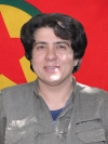 Amara Ronahi - Müzeyyen Aydınlı