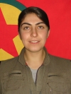 Bêrîtan Harun – Berivan Araz
