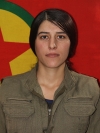 Elif Newal - Betül Diler