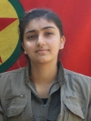 Tolhıldan Zara - Hevi İbrahim