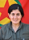 Nalin Amed - Netice Katar