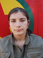 Zozan Cudi - Zozan Temir