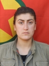 Hêvî Koçer – Nafiya Gezici