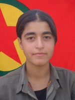 Ronahi Yekbûn - Derya Tamer