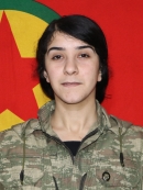 Arvîn Baz Amed – Zilan Bayer