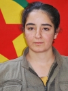 Bêrîvan Hesekê – Jiyan Halil Meyiş